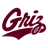 Montana Grizzlies
