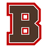 Brown Bears