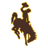 Wyoming Cowboys